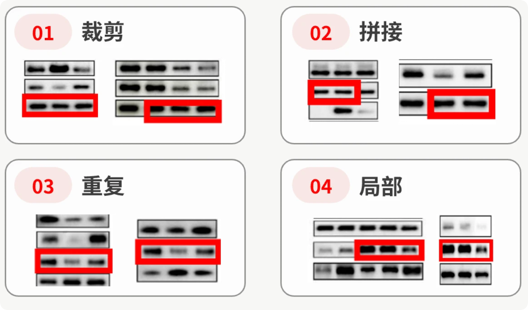 论文图片重复怎么查？ImageTwin被8成顶尖出版社使用，投稿前自查是刚需