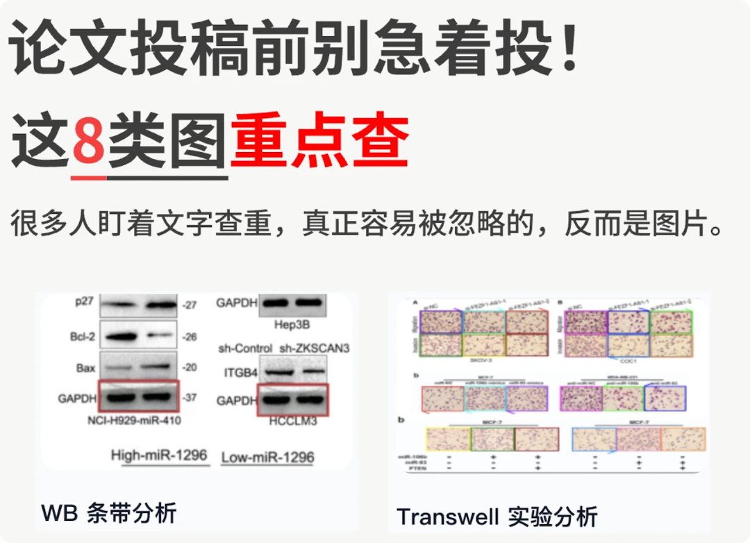 实验室论文图片重复怎么查？ImageTwin使用全攻略，别等被撤稿才后悔