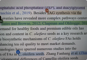 iThenticate查重时参考文献到底怎么处理？保留还是删除、为什么标红、新版本自动排除——10个最头疼的问题一次说清