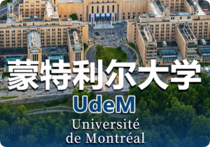 加拿大蒙特利尔大学作业和考试要求全攻略（附turnitin查重避坑指南）