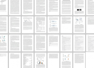Essay和Report区别在哪？讲透写作差异+留学生turnitin查重系统盘点