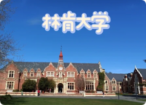 林肯大学新生避坑：A+要90分，重审成绩花60刀，用AI可能全班陪你重考