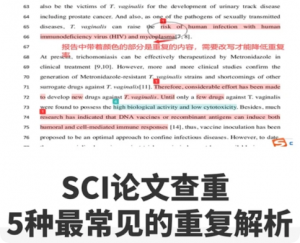 15 年投稿经验总结：iThenticate 查重规则、常见坑点与降重标准（附数据案例）